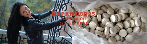 шишки Березники