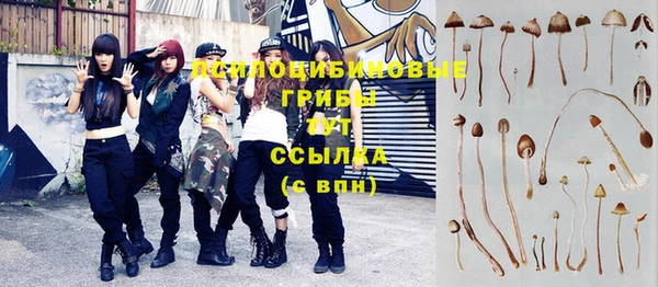 шишки Волгодонск