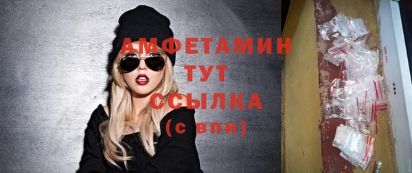 шишки Березники