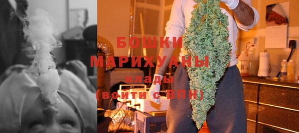 шишки Березники