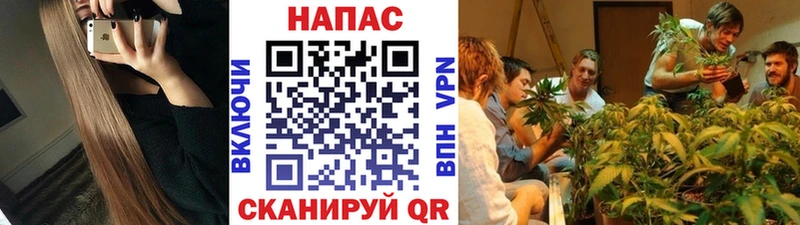 Шишки марихуана MAZAR  Болотное 